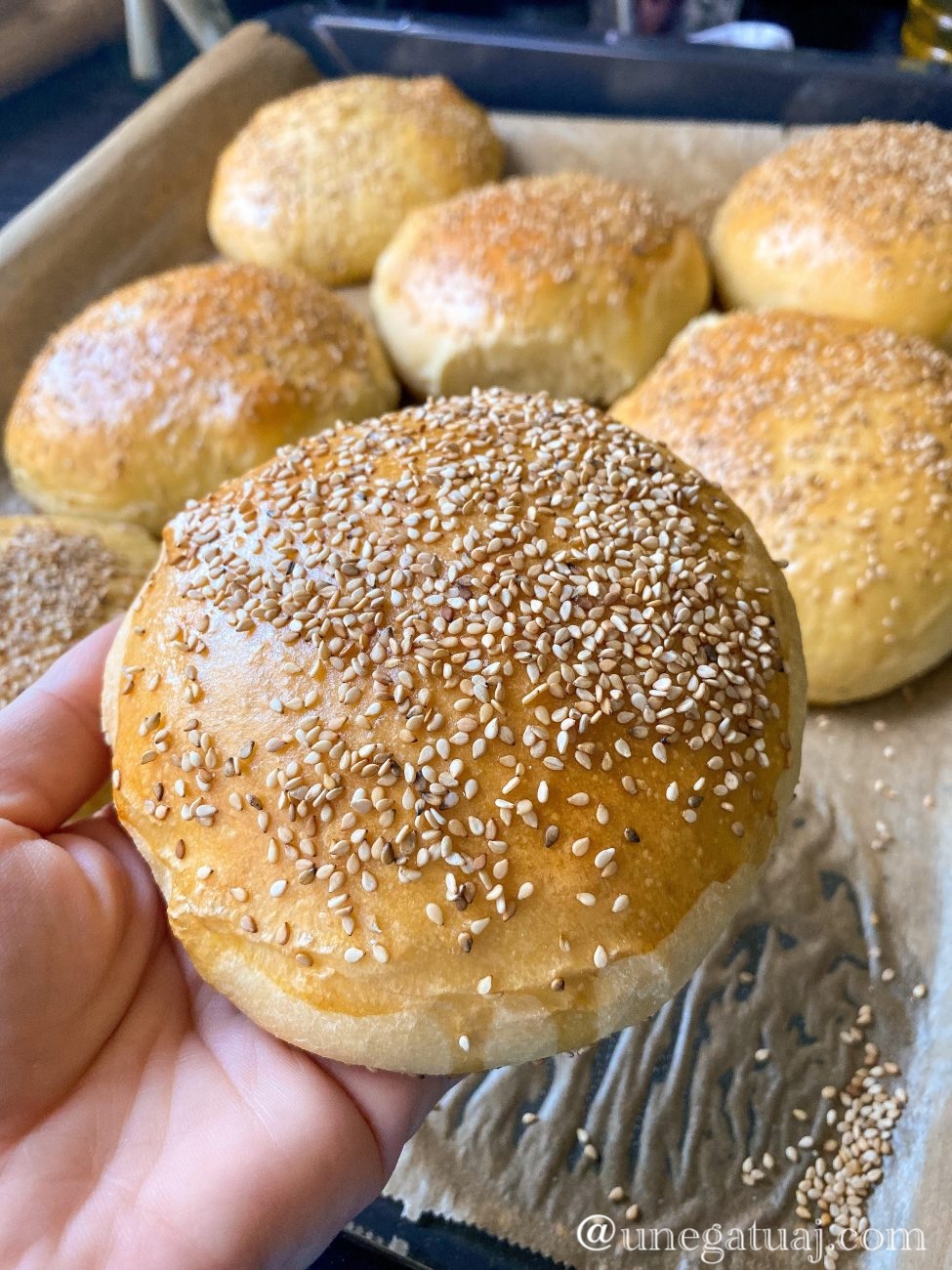 Simite me susam (Bukë hamburgeri)