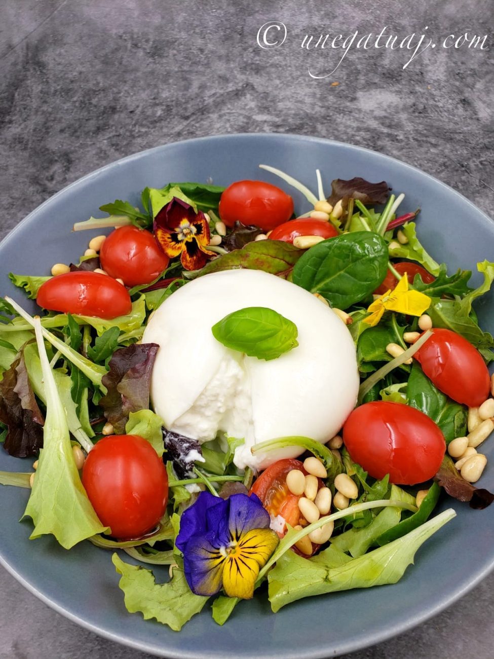 Sallatë me djathë Burrata dhe domate të vogla