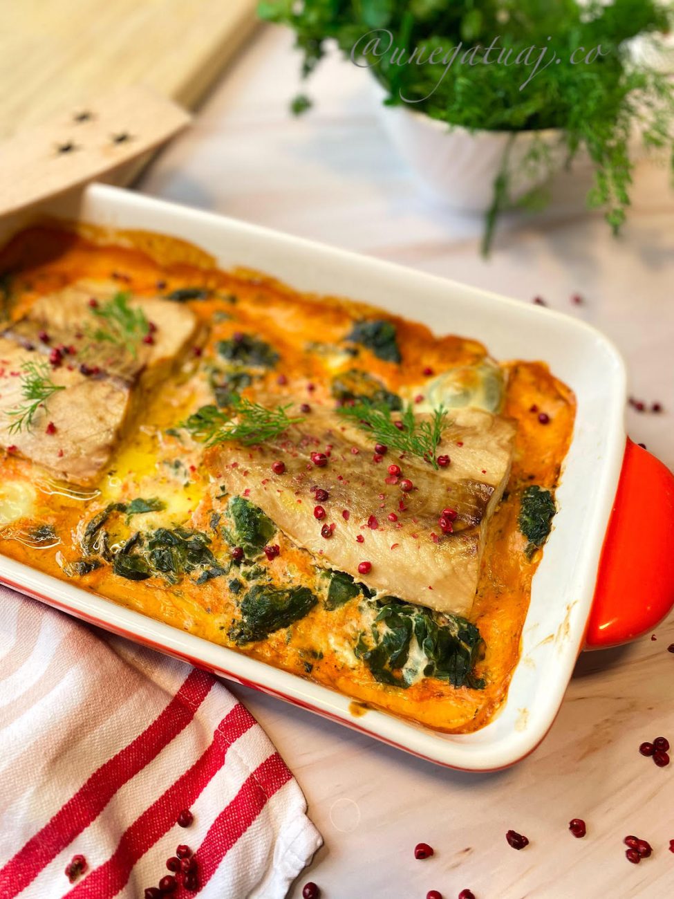 Salmon furre në salcë kremoze